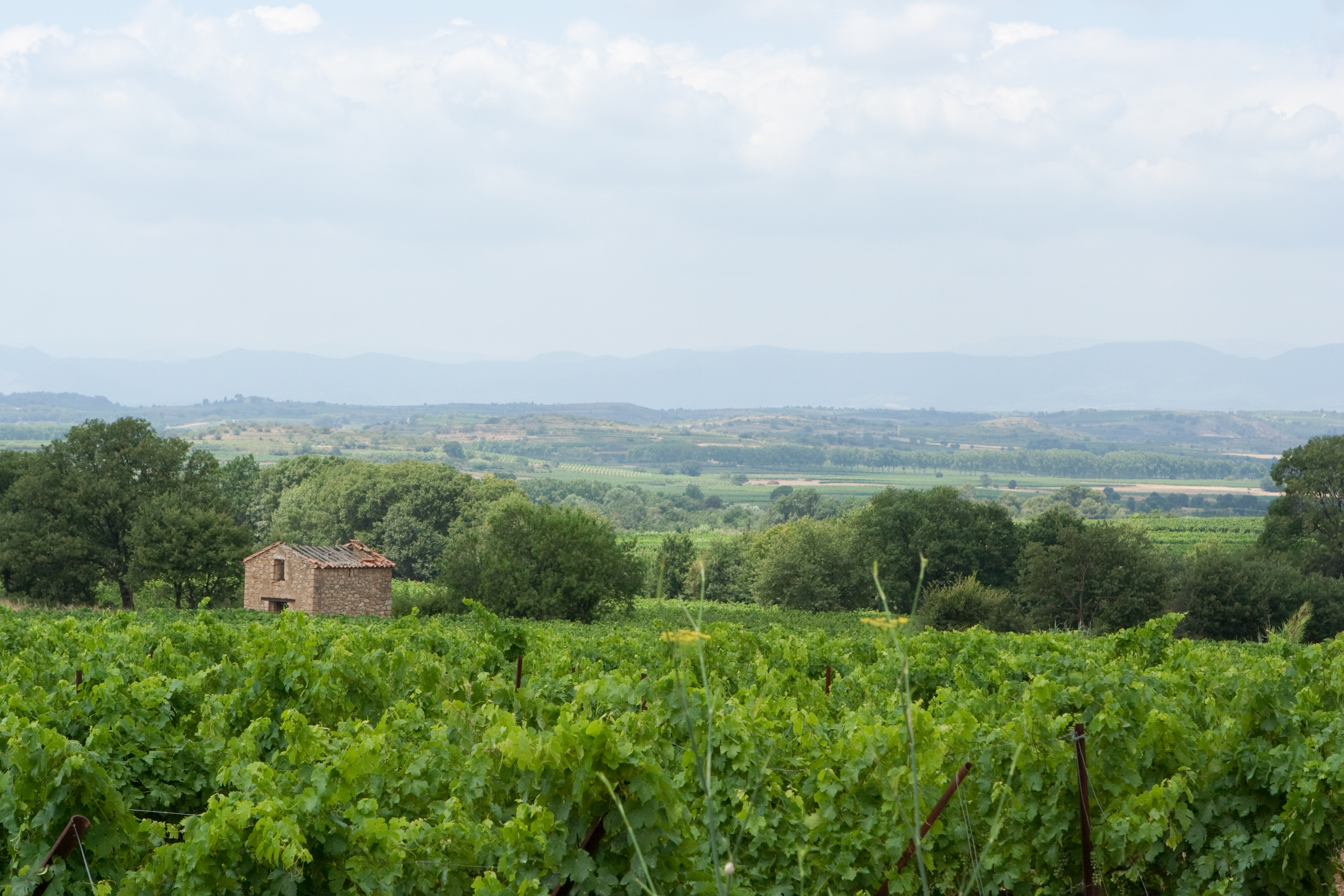 vakantie 2009 ontdekkingsreis-003.jpg